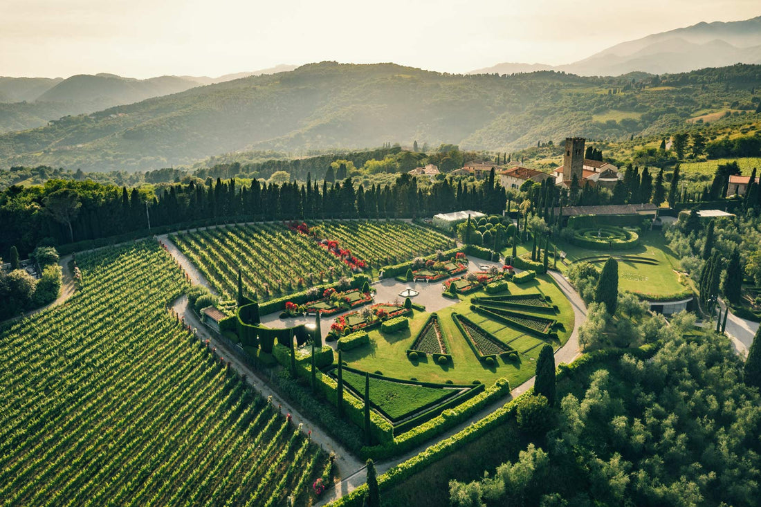 Aus Liebe zum Wein- VivArt 2025